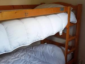 Les Gets : Triplex 5 pièces pour 8 pers, proche télésiège, navette, balcon, skivélo - FR-1-802-1