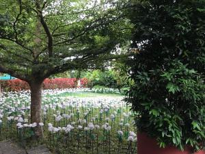 Twin Lakes Vineyard Residences