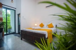 Coconut Breezes - Metarambe