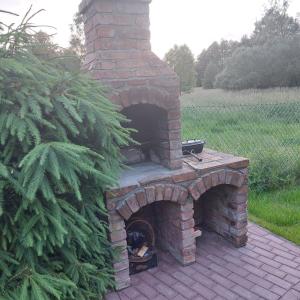 Storchenwiese Wald Meer Natur