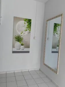 Tok Mek Homestay - Kampung Raja