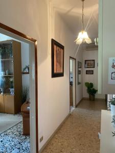 Nebula Nook Luxury Apartment