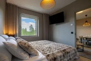 Levi City Suite by Loimu Travel - 列维