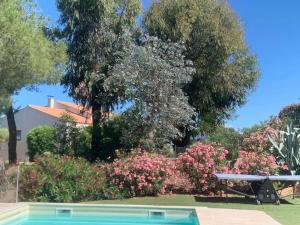 Corsicadream cupabia, appartement dans villa proche Porticcio, vue mer, piscine