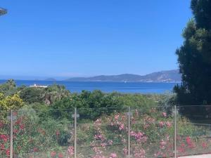 Appartements Corsicadream cupabia, appartement dans villa proche Porticcio, vue mer, piscine : photos des chambres