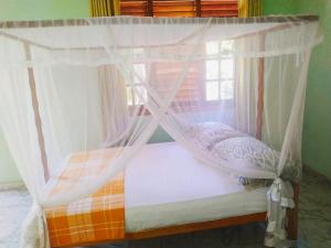Green Shade Villa