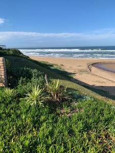 Kolstert Bliss at Glentana