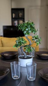 Appartements Evasion - Orly a 12 min de Paris : photos des chambres