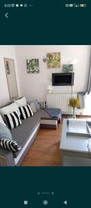 Kawalerka pod jabłonią