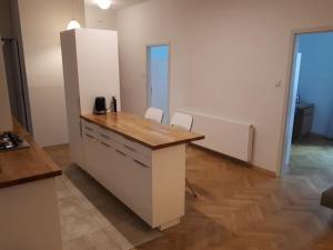 Centrally located apartment with 4 bedrooms Garbarska