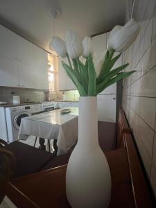 Oasis Pool Flat-near 2 metro stations-