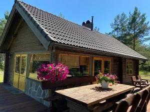 Kuldvitsa puhkemaja saunaga - Eiste