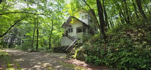 Oak Villa Nasu 抜群のプライベート空間 100インチ映像 轟音サウンド 人工芝デッキ