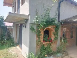 Mirni kutak - 巴奇基彼得罗瓦茨