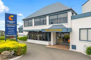 韦纽舒适酒店 - 提马鲁