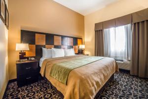 Standard King Room - Non-Smoking/Pet Friendly room in Comfort Inn Ballard-Roosevelt