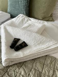 Apartament Green - 350m od plaży w Dzielnicy Uzdrowiskowej