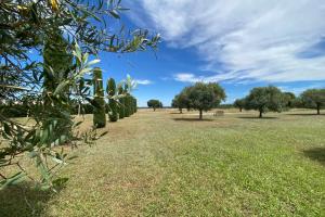 Appartements 04B2 Beautiful studio in a mas provencal - pool : photos des chambres