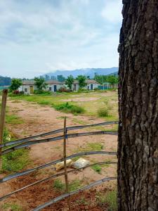 My Dream Land Nature Resort