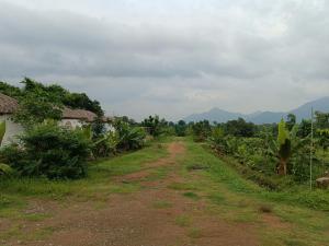 My Dream Land Nature Resort