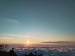 Tae Khob Fah at Phu Thap Buek