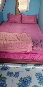 Tae Khob Fah at Phu Thap Buek