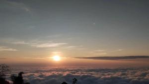 Tae Khob Fah at Phu Thap Buek