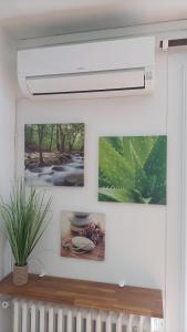 Appartements Charmant 3 pieces 10 min de Lyon : photos des chambres