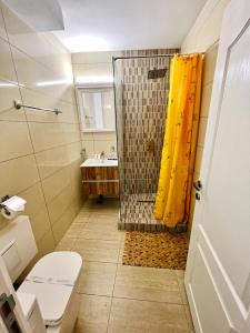 Next Studio Old Town