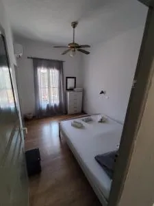 Garden Roses - Benitses