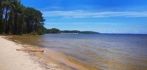 Appartements Reve de Bisca Appartement spacieux avec jardin privatif piscine et parking prives : photos des chambres