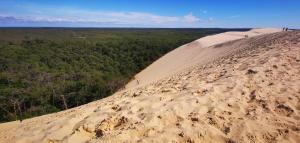 Appartements Reve de Bisca Appartement spacieux avec jardin privatif piscine et parking prives : photos des chambres