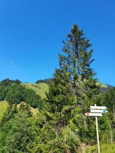 Appartements Appartement La Duchere Le Plan-la Giettaz massif des Aravis : photos des chambres
