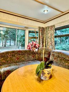 Holenderek Agro-Stajnia