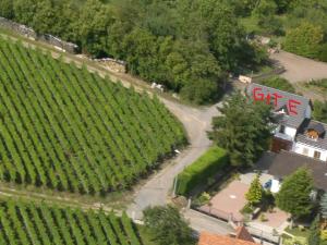 Appartements Aux Vignes : photos des chambres
