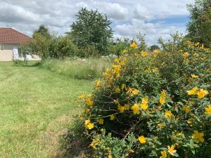 Maisons de vacances Une pause a Dompierre : photos des chambres