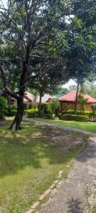 Totally adventure and fun