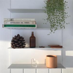 La Casa en la Azotea