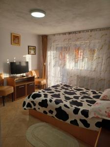 Casa Mariana - Comuna Arefu, Transfăgărășan