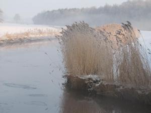 Ferienwohnung Schaa, 85105