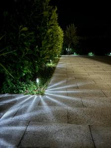 Apartman Đardin 