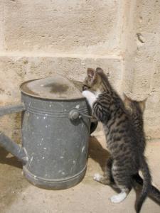 Fattoria Il Noce B&B