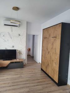 Sika Splendor Apartment Arad
