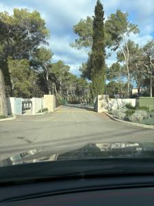 Pinède carqueiranne