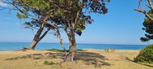 Appartements Limiria Studio : Appartement 1 Chambre