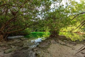 Bahia Tankah 52 Beach front by Uniko