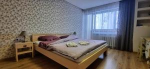 Čiurlionis Apartment Druskininkai