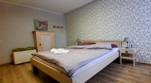 Čiurlionis Apartment Druskininkai