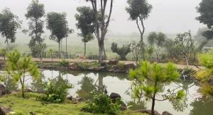 Nhà Bên Đồi - The Hill House Villa