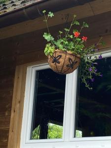 Chalets Au seuil de la Foret 65m2 Nature & Spa : photos des chambres